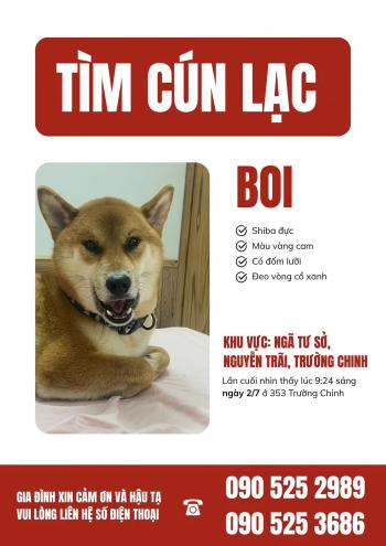 Tìm Chó lạc tại Hà Nội