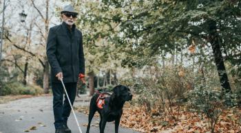 Chó dẫn đường cho người mù