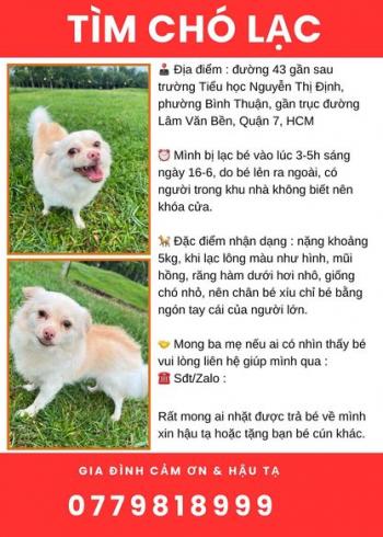 Tìm Chó lạc tại TP Hồ Chí Minh -  Chó Phốc sóc Đực, màu Trắng